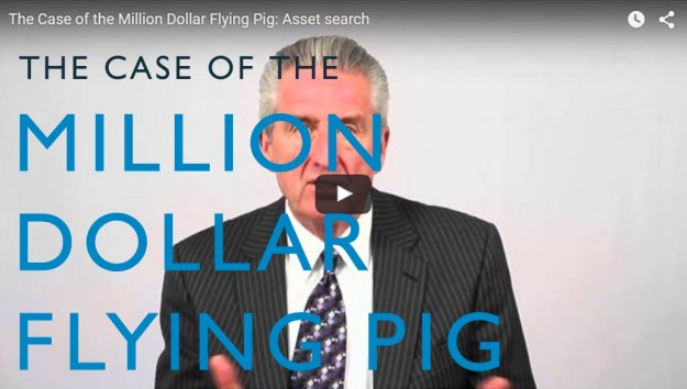 The Case of the Million Dollar Flying Pig. Video. Martin Investigative Services. (800) 577-1080